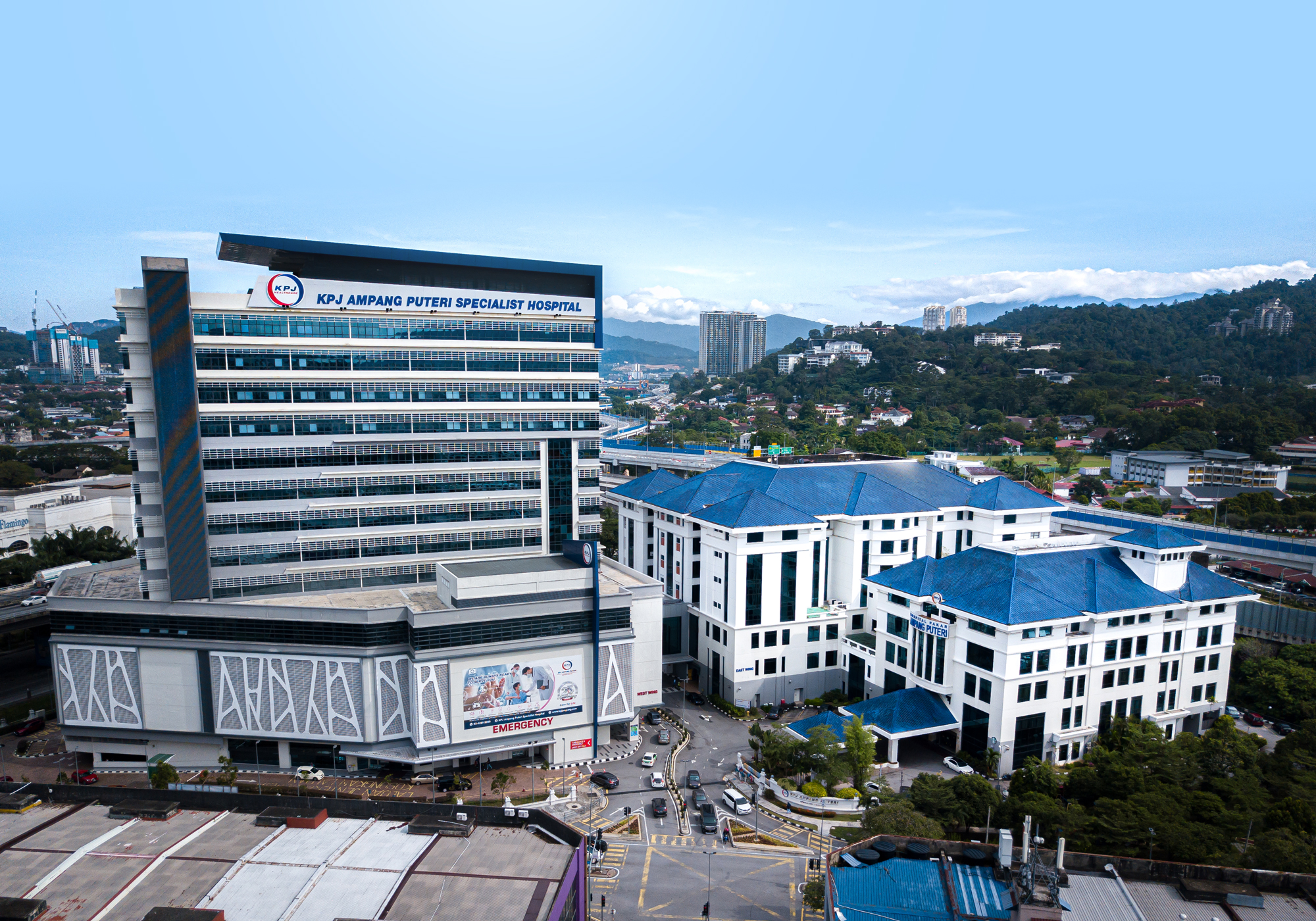 Rose Chia Foo Yin @ Rose Peng